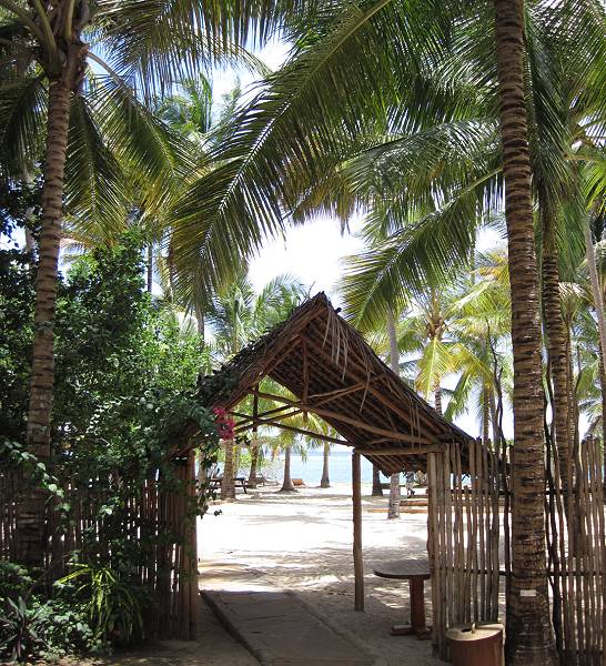 Vipingo Beach - Kenya Nordküste