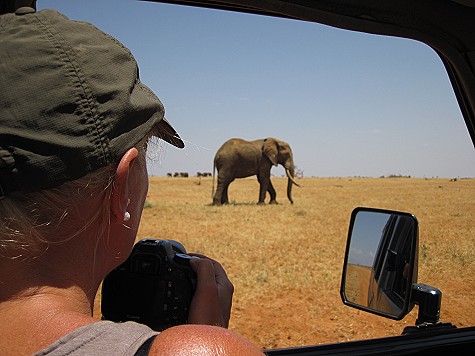 Aruba Wasserstelle - Tsavo Ost National Park