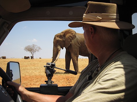 Aruba Wasserstelle - Tsavo Ost National Park