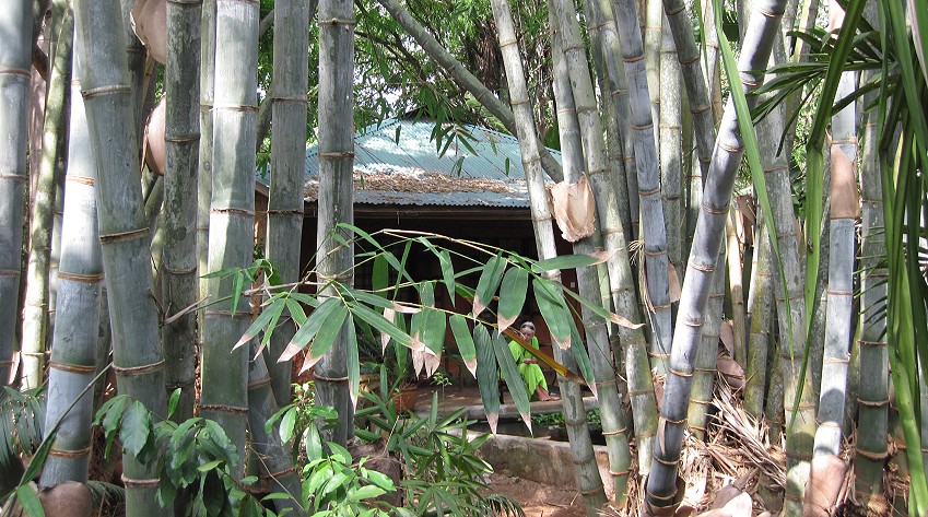 Boko Boko Bungalows - Kikambala - Mombasa Nordküste