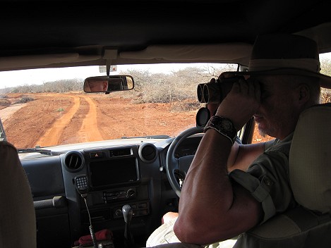 Safari Jörg Reinecke