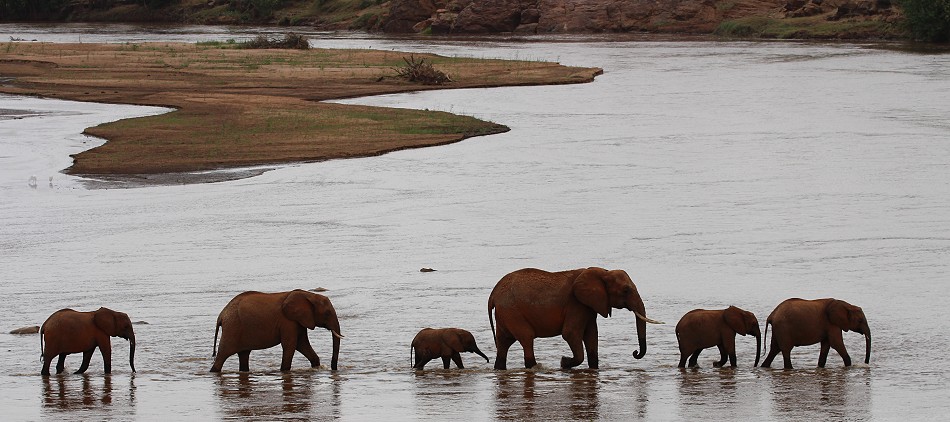 rote Tsavo Elefanten im Galana