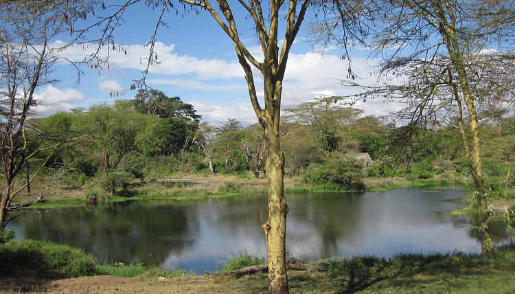 Finch Hatton Camp, Tsavo West