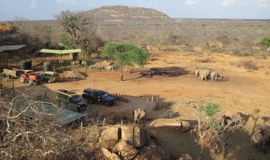 Ithumba Auswilderungsstation - David Sheldrick Wildlife Trust
