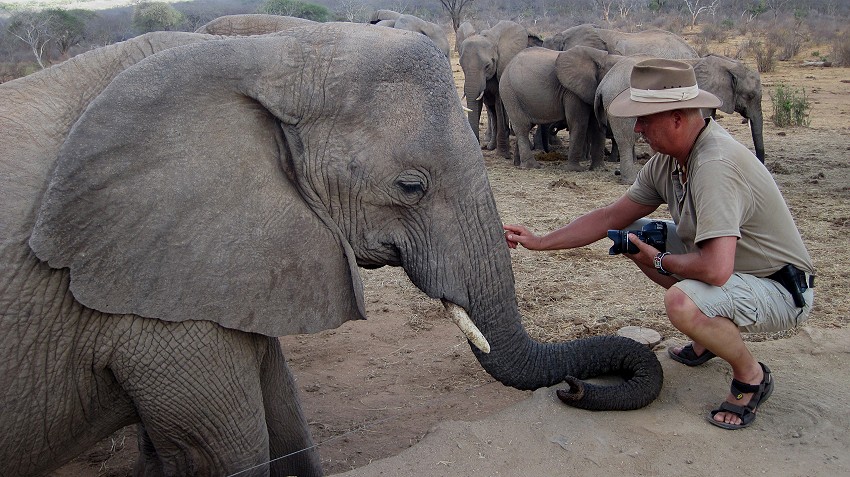 Ithumba Auswilderungsstation - David Sheldrick Wildlife Trust