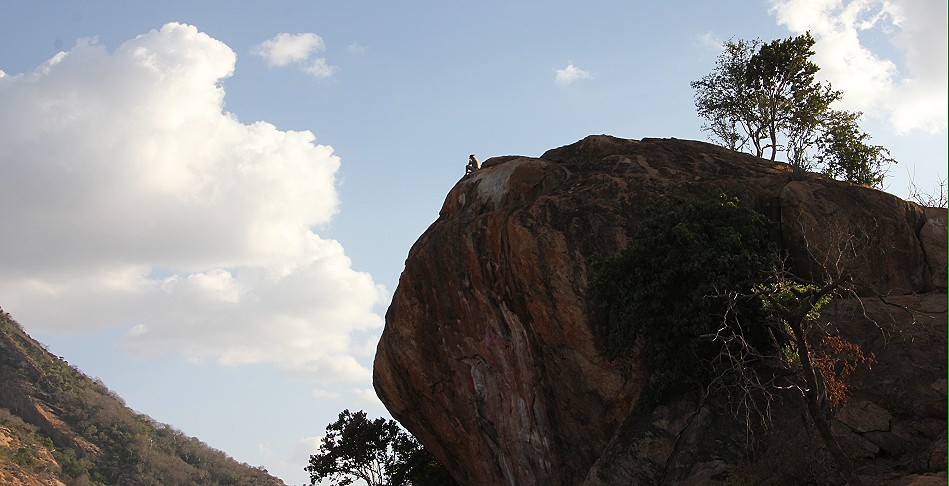 Ithumba Auswilderungsstation - David Sheldrick Wildlife Trust