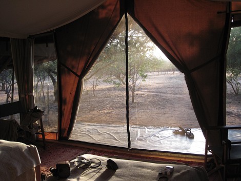 Ithumba Camp