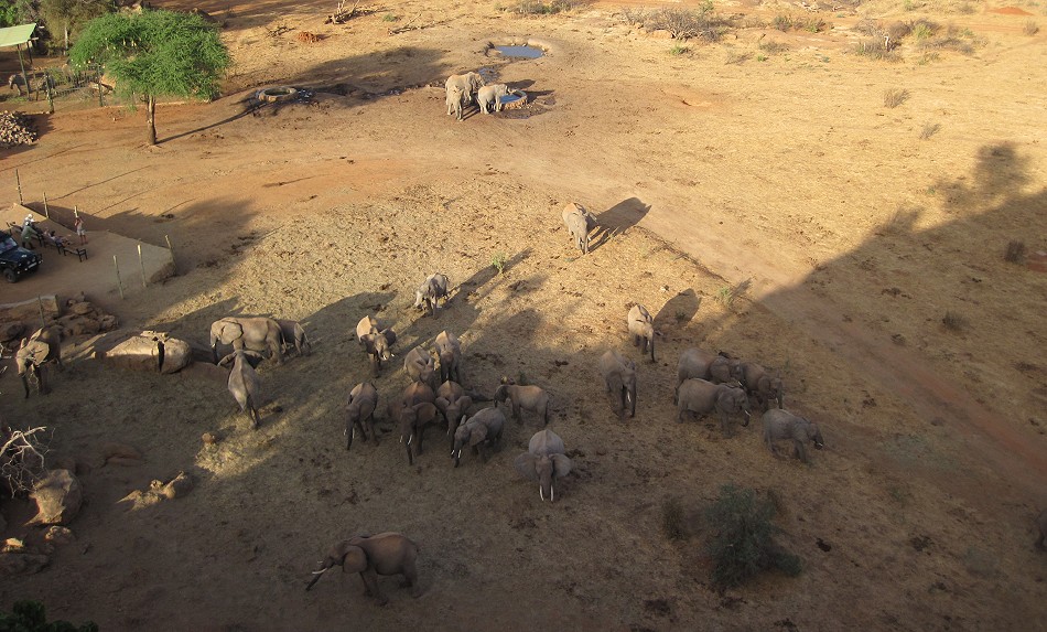 Ithumba Auswilderungsstation - David Sheldrick Wildlife Trust