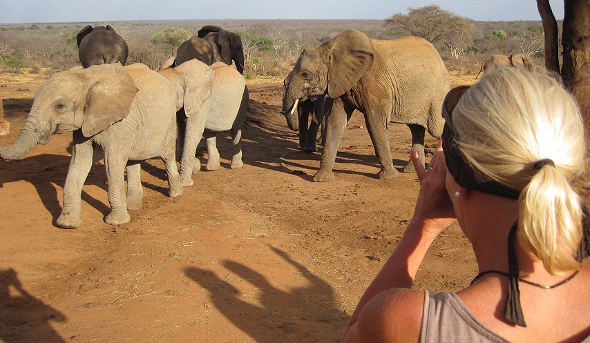 Ithumba Auswilderungsstation - David Sheldrick Wildlife Trust