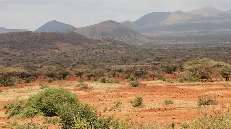 Kilanguni Lodge - Tsavo West