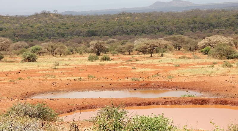 Kilanguni Lodge - Tsavo West