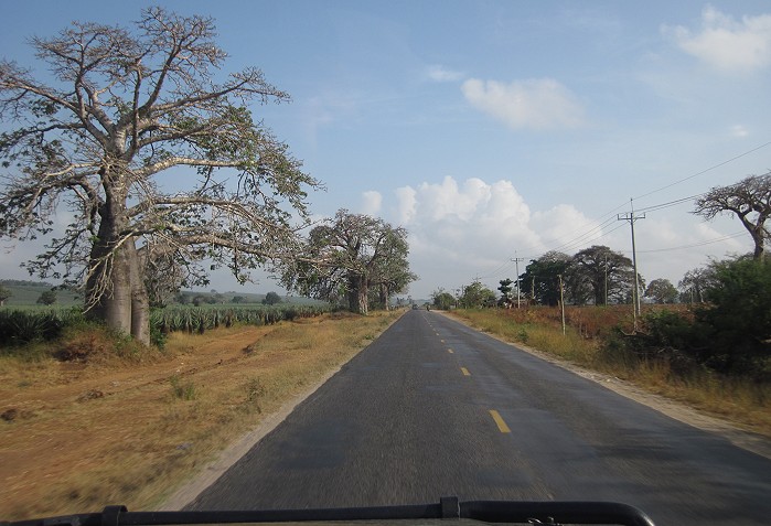 Kilifi