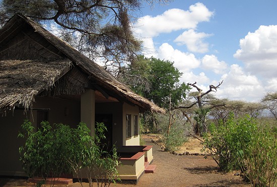 Kitani Bandas - Tsavo West