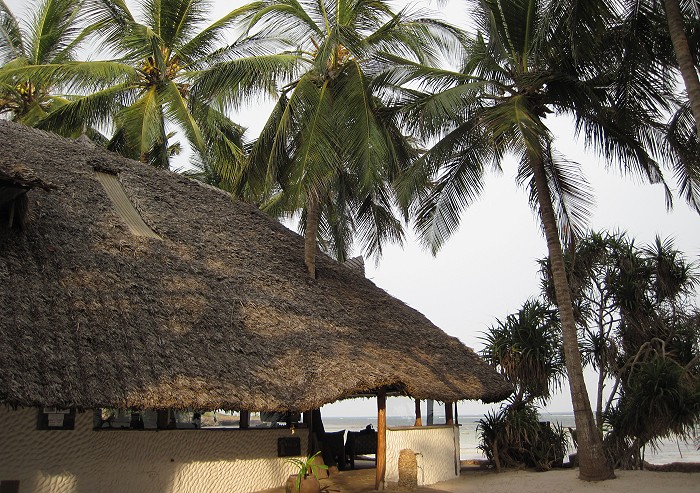 Mbuyu Beach Bungalows, Msambweni Beach