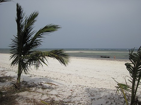 Mbuyu Beach Bungalows, Msambweni Beach