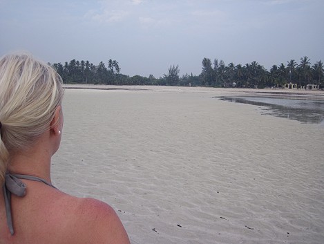 Mbuyu Beach Bungalows, Msambweni Beach