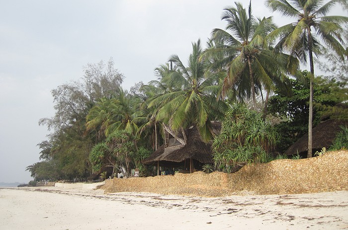 Mbuyu Beach Bungalows, Msambweni Beach