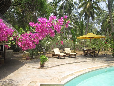 Mbuyu Beach Bungalows, Msambweni Beach