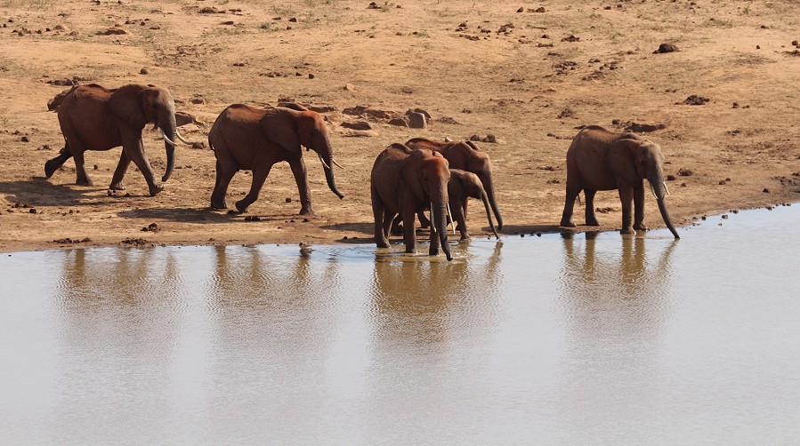 Mudanda Rock - Tsavo Ost National Park