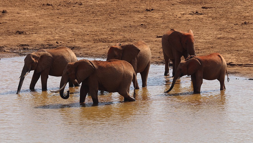 Mudanda Rock - Tsavo Ost National Park