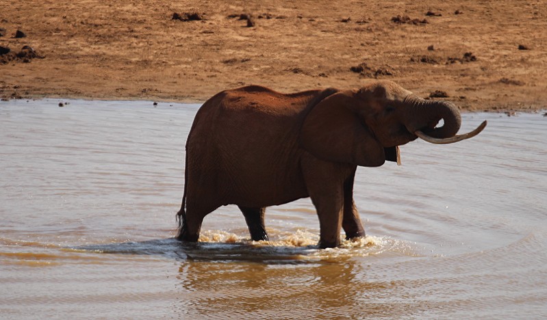 Mudanda Rock - Tsavo Ost National Park