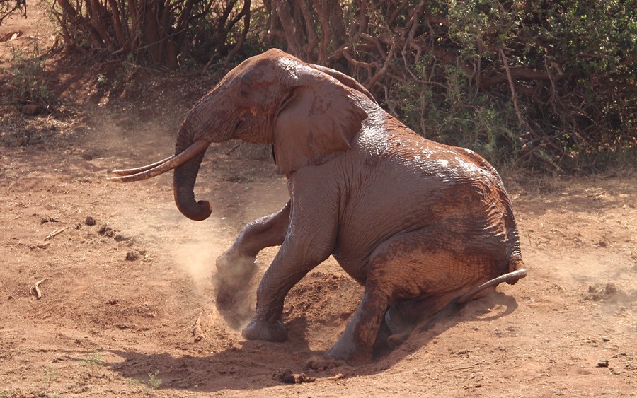 Mudanda Rock - Tsavo Ost National Park