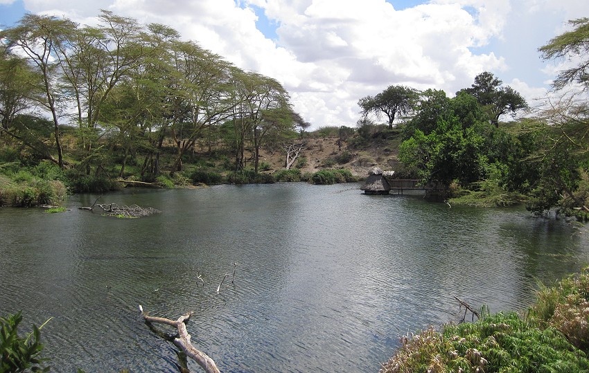 Mzima Springs - Tsavo West National Park