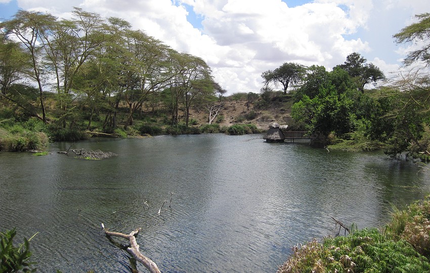 Mzima Springs - Tsavo West National Park