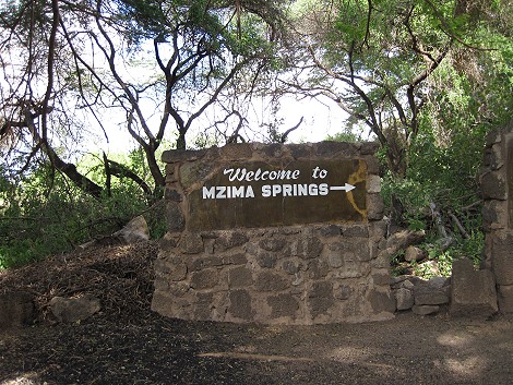 Mzima Springs