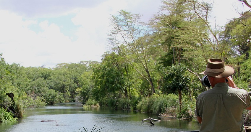 Mzima Springs