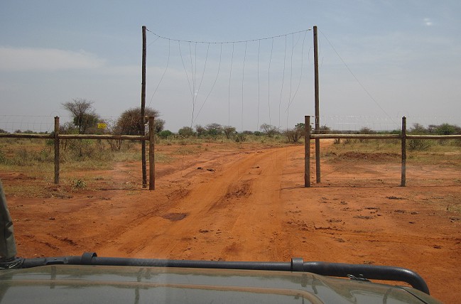 Ngutuni Lodge - Ngutuni Wildlife Sanctuari / Tsavo Ost