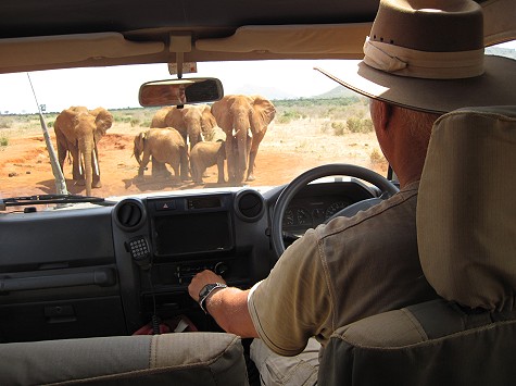 Pipeline Road - Tsavo Ost National Park