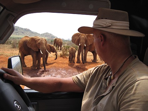 Pipeline Road - Tsavo Ost National Park