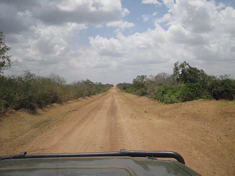 Bushpiste von Watamu bis zum Galana Crocodile Camp