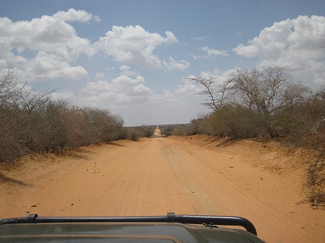 Bushpiste von Watamu bis zum Galana Crocodile Camp