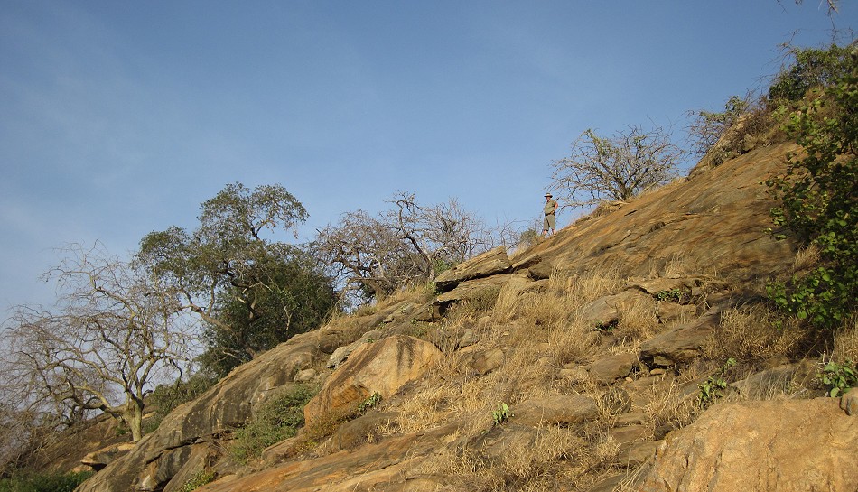 Rock Side Camp - Tsavo