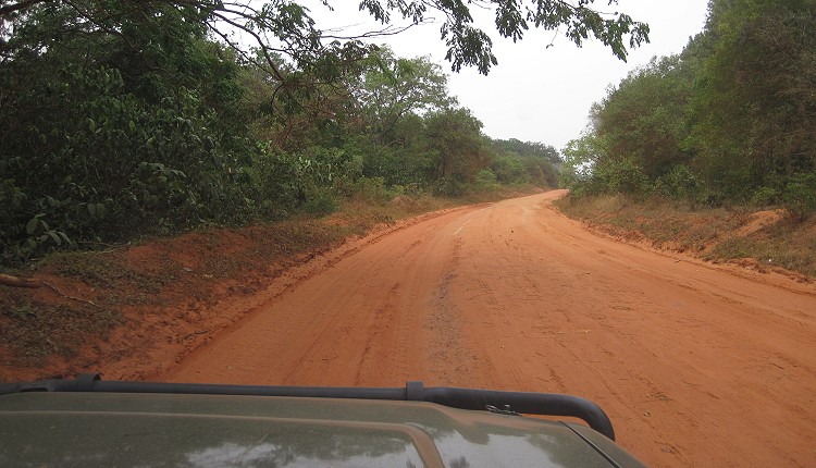 Shimba Hills Road