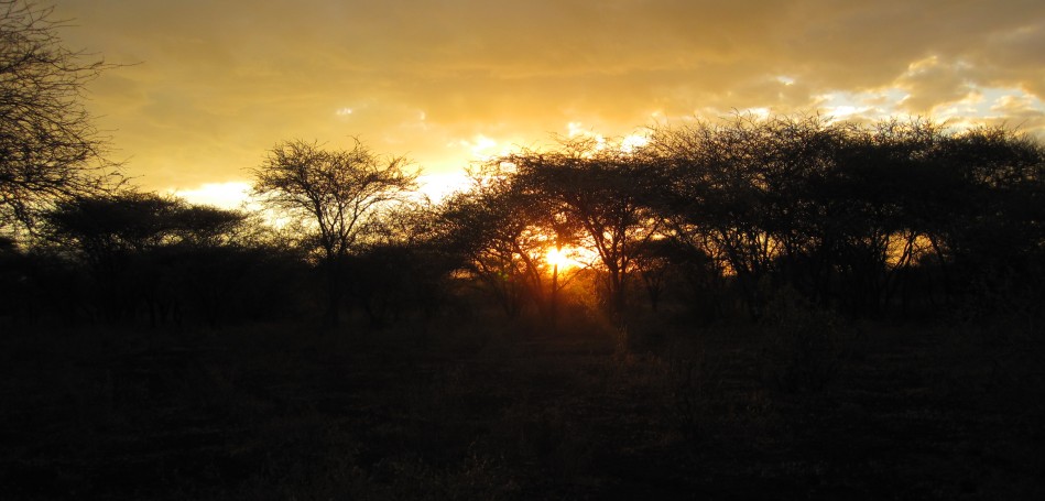Sonnenaufgang Tsavo West