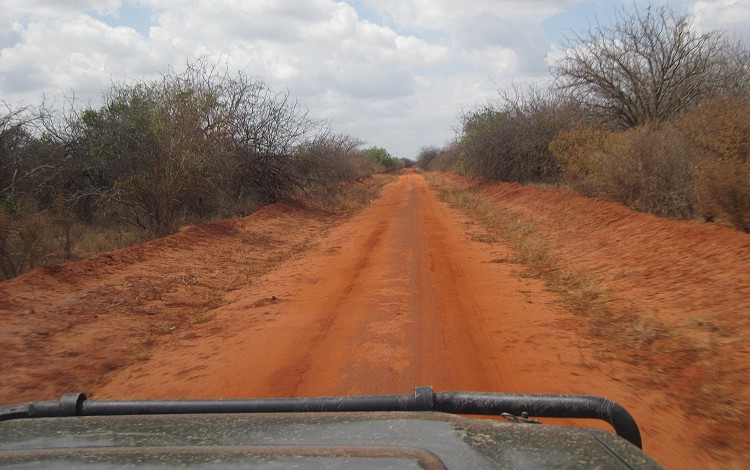 Tsavo Buschpiste