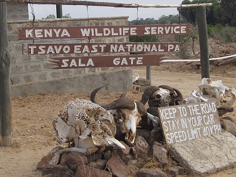 Sala Gate, Tsavo Ost