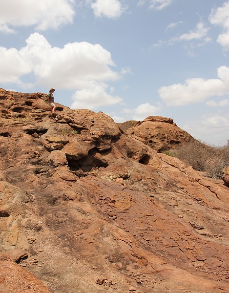 Petra Reinecke, Tsavo Safari