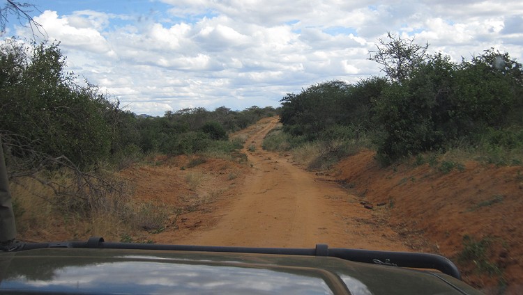 Tsavo West National Park - Kenya