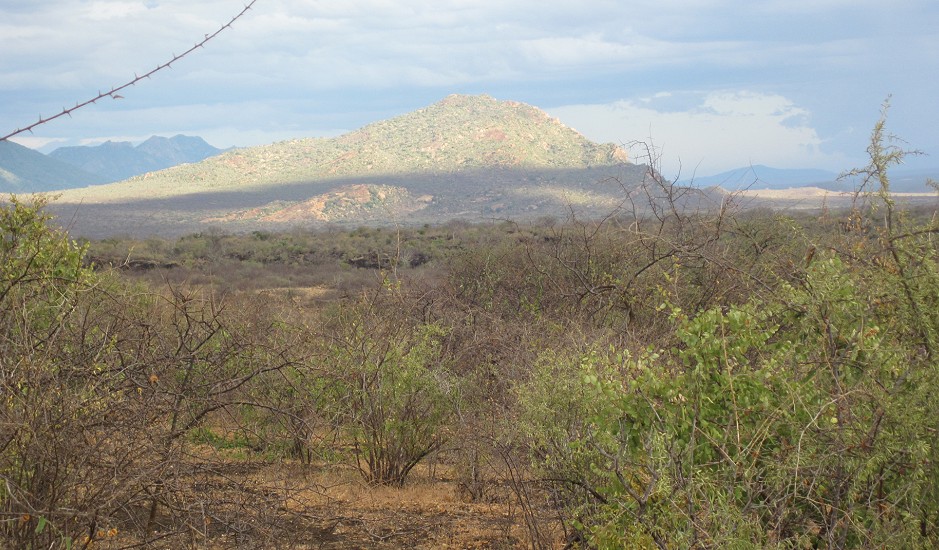 Tsavo West National Park - Kenya