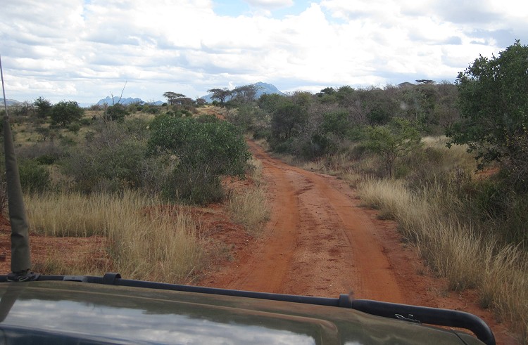 Tsavo West National Park - Kenya