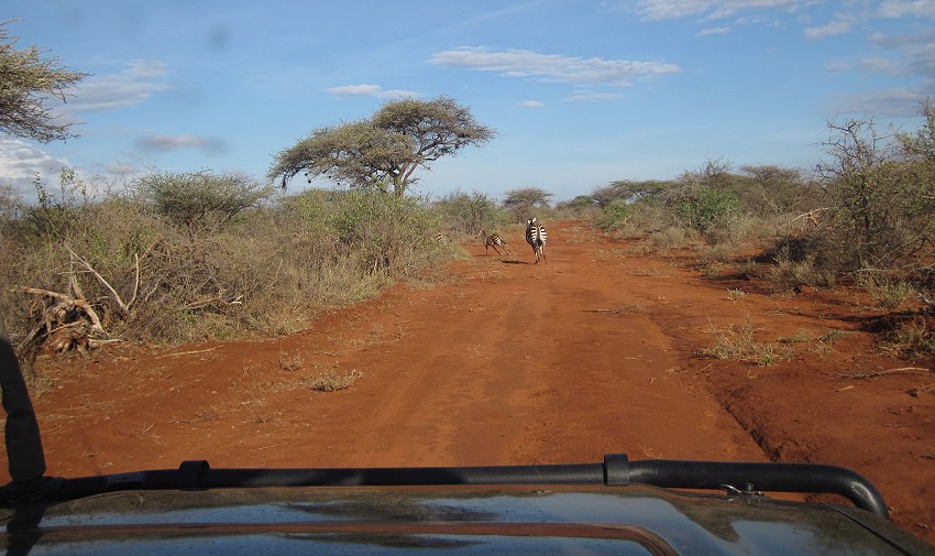 Tsavo West