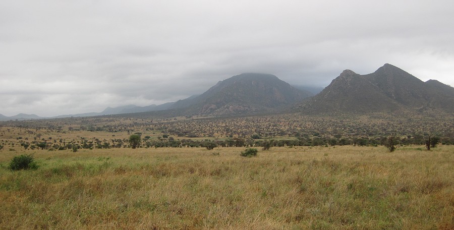 Rhino Valley