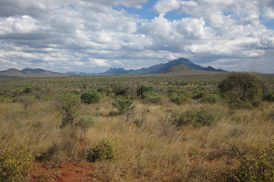 Tsavo West National Park - Kenya