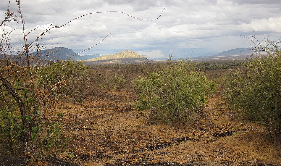 Tsavo West National Park - Kenya