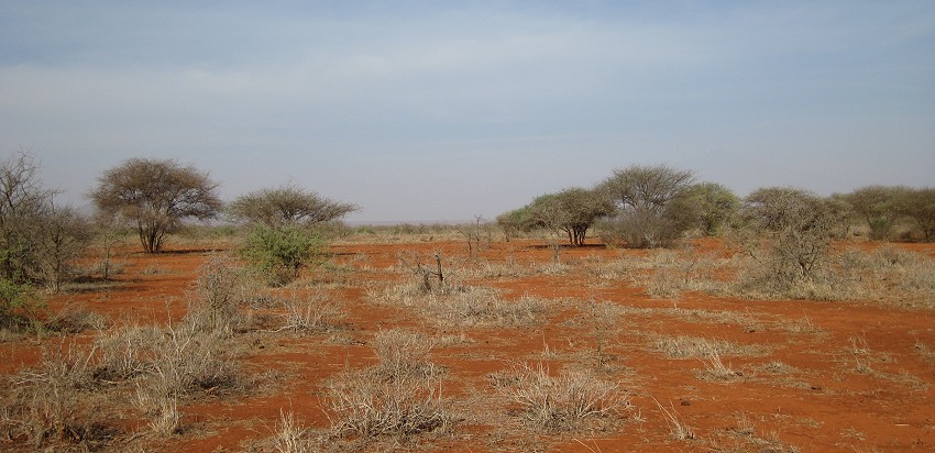 Tsavo West