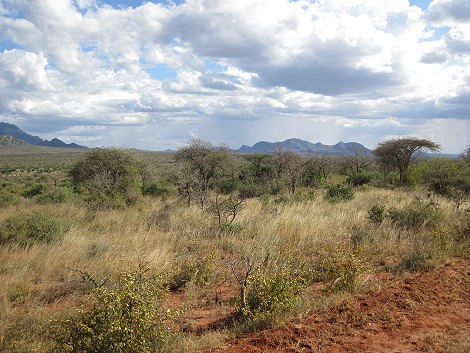 Tsavo West National Park - Kenya